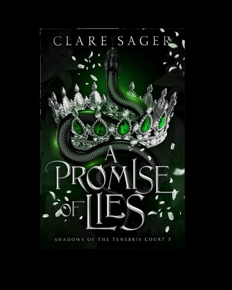 Cover of A Promise of Lies